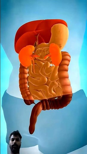 How tablet works in body. #doctor #3danimation #facts