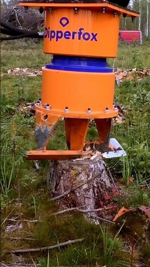 The Smart Way to Remove Tree Stumps!