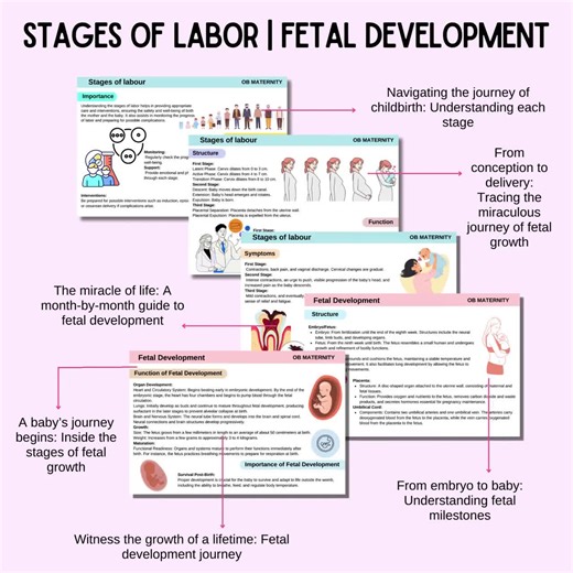 OB Maternity Flashcards, OB Nursing Study Guide, Labor and Delivery, Nursing Notes, Study Guide, the Nursing Resource, 100 Flashcards - Etsy