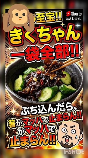 【グランメゾン おさむ】きゅうりに「きくちゃん」一袋ぶち込んだら、箸がマッハで止まらんくなった！！ #Shorts