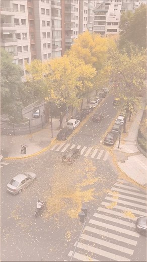 Choux Eclairs - Pastelería | Dancing Leaves 🍂 Otoño en Buenos Aires 🍁✨ Les regalo este momento de paz visual y mental 💆🏼‍♀️ #autumn #otoño #autum #autumnvibes... | Instagram
