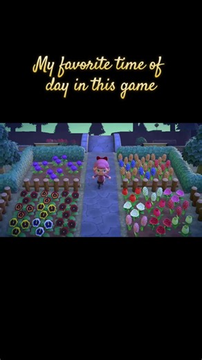 Enjoying Early Morning Play in Animal Crossing: New Horizons