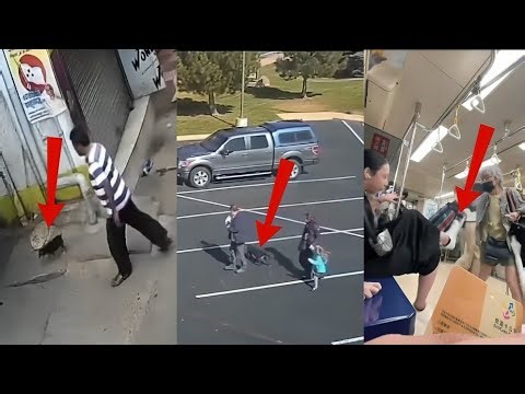 True September Events You Won’t Believe Actually Happened