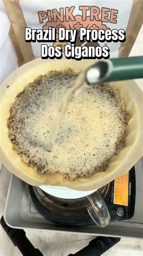 Brazil Natural Process Dos Ciganos #コーヒー #coffee #pourover Order Fresh Today at pinktreecoffee.com