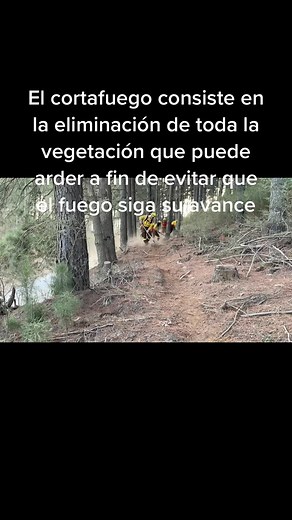 Que es un cortafuegos: es la eliminación de toda la vegetación (combustibles) que pueda arder a fin de detener la propagación del incendio forestal, se puede construir con herramientas manuales, máquinaria pesada o mediante productos químicos como los retardantes #brigadistasforestaleschile🌲🇨🇱 #wildlandfirefighter #iiff #incendiosforestales🔥 #fire #helitransportados #chile #wildlandfire #fuego