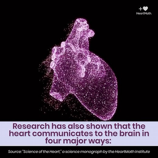 HeartMath Inc. on Instagram: "Your heart and brain are always communicating. The heart brain communication happens in a number of ways as explained in this video researchers with a @heartmathinstitute have shown that the human heart, in addition to its other functions, actually possesses the equivalent of its own brain – called the heart brain. #Heart #Brain #Critical #Thinking #Mental #Clarity #Coherence #HRV #Neurologic #Science #Energetic #Research #Millennials #GenZ #discovery"