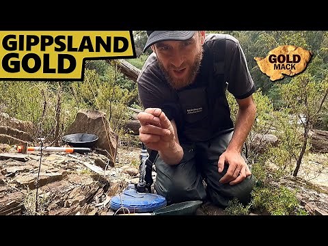 Finding Gippsland Gold using the Minelab SDC 2300 Metal Detector