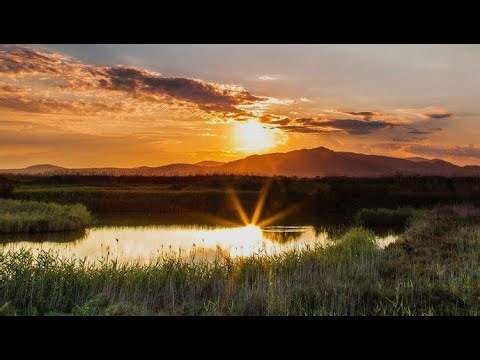 Watercolor painting landscape tutorial