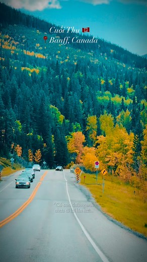 🤎🍁💛🇨🇦 | Tony James