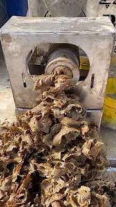 Traditional Mustard Oil Extraction | Skilled Craftsman at Work