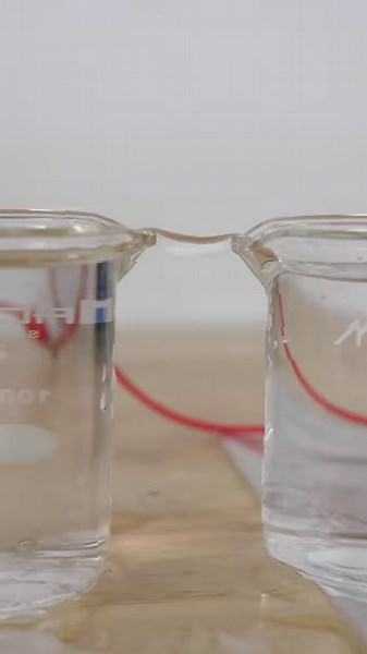 How to make stretchy water | The Action Lab