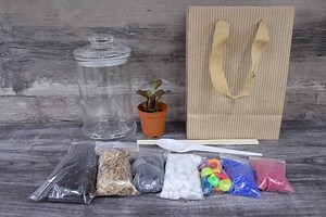 Premium Terrarium DIY Kit - Ecoponics Singapore