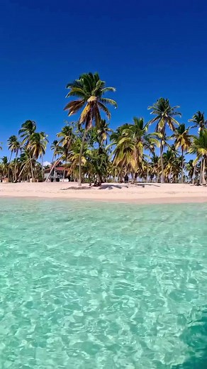 Descubre la Belleza de Isla Saona en el Caribe 🏝️☀️