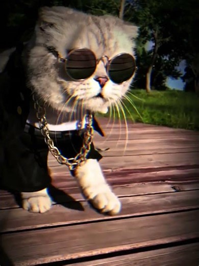 Cool Cats 🥶 #cat #cats #english