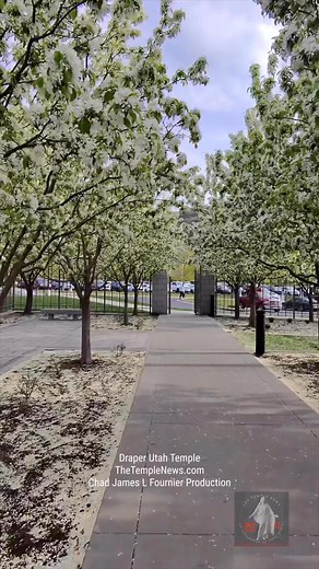 51 reactions | Temple News showcases the breathtaking beauty of the Draper Utah Temple in Spring. Stay inspired and join us for more updates at TheTempleNews.com #thetemplenews #templenews #lds #ldswedding #mormon #ldstemple #ldstemples #templescoop #DraperTemple #churchofjesuschristoflatterdaysaints #temple #temples #DraperUtahTemple | Church of Jesus Christ Temples | Facebook