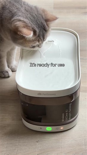 Cats often don’t drink enough and fresh, clean water is essential for their health. That’s why we trust the #PetSnowy OilClear water fountain to keep them hydrated every day. The PetSnowy OilClear Al Series provides pets with consistently clean, refreshing water using a multi-layer filtration system. Its intelligent app quietly tracks usage, giving you reassurance that they’re drinking enough every day. #catwaterfountain #PetSnowyOilClear #petsnowy #waterfountain #catwaterfountain #catwaterfount