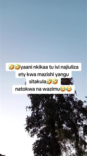 Humor & Festivities: Celebrating A Unique Christmas