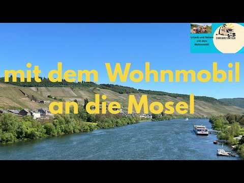Vom Moselstellplatz Wintrich die Umgebung erkunden