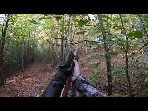 Hunting on Land we have NEVER been on!!!