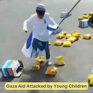 Viva Bernie 2024 on Reels