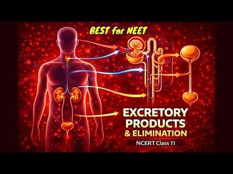 Excretory Products and Their Elimination | 3d Animated | NCERT Class 11 Biology | BEST FOR NEET