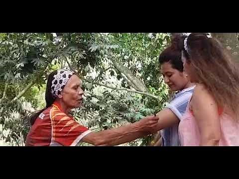 The Aboriginal body painting art.. A glimse of it at Dream World, Queensland, Australia