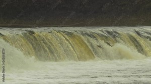 Vimba fish (Vimba Vimba) jumping over the widest waterfall in Europe - Venta river waterfall (Ventas rumba) in Kuldiga, medium slow motion shot from the distance