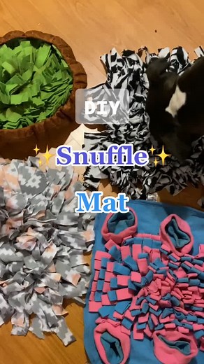 Unlocking the Fun: DIY Snuffle Mat for Enriching Your Dog's Playtime