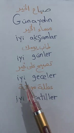 Learn Turkish from Scratch: A Beginner's Guide