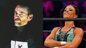 What was the connection between CM Punk and Serena Deeb in WWE?