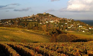 Are there any sauvignon blanc wines that are low in acidity?