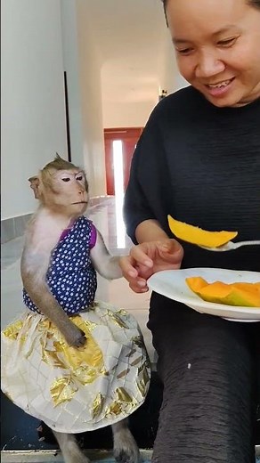 So yummy 😋 hasha 😁