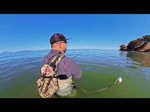Bay Area Striper Fishing Adventure | Action Throughout The Bay!