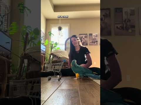 Shopping Cart Trick Approximations