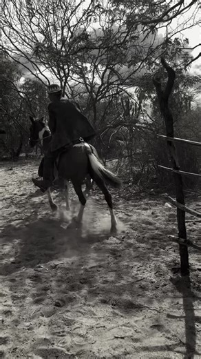 Bebê Do Gado on Instagram