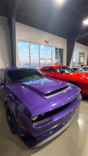 The most diverse selection of inventory you will find anywhere in the country. 🚗🚙🏎️🚘🛻 🇺🇸🏁 www.eliteautosllc.com 💻🌏 Call OR text 8709318004 to inquire. 📲 #carsforsale #exoticcars #collectibles | Elite Autos LLC