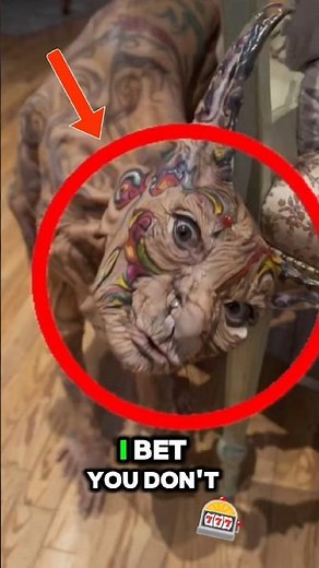 Top 5 Deadly Extinct Animals That Once RuledtheEarth#top5 #extinctanimals #extinctcreatures #shorts