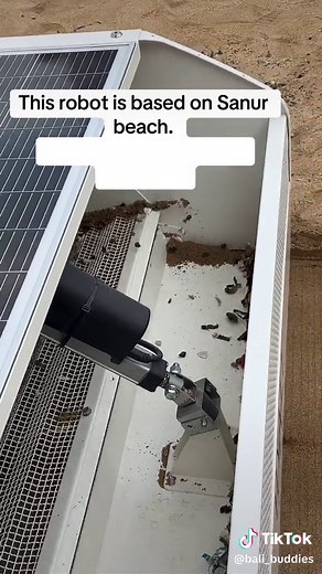 Bali Buddies on TikTok