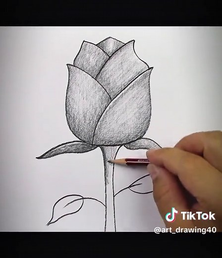 Step-by-Step Guide to Drawing a Beautiful Flower