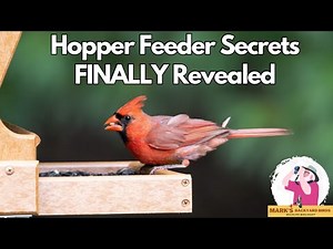 STOP Wasting Money on the WRONG Hopper Feeder!