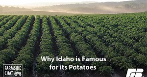 Why Idaho Is Famous for its Potatoes