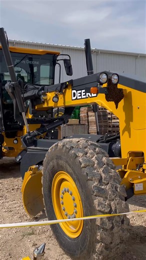 2.9K views · 110 reactions | The most amazing swarm of bees I’ve ever seen! #bees #texas #animals #beekeeper #savingthebees#17 #nature | Save the Bees | Facebook