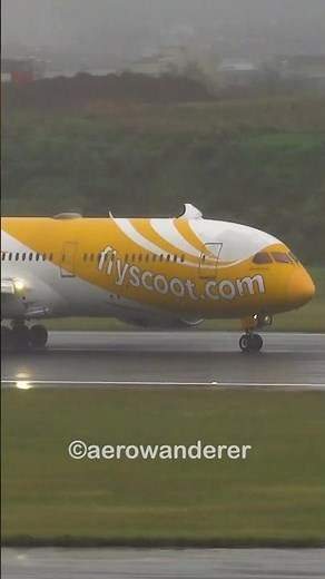 TYPHOON landing of SCOOT B787-9 at Taipei Airport #shorts #aviation #plane #landing #b787 #scoot