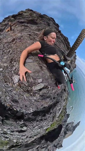 The dog must be on a leash