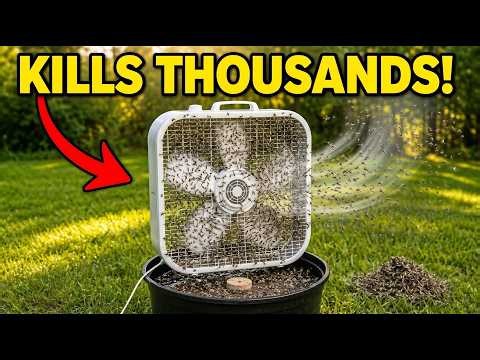 The Forgotten Homemade Mosquito Trap That Kills Thousands Every Night