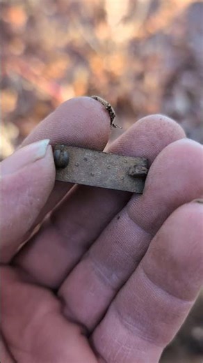 old military pin found metal detecting long island NY