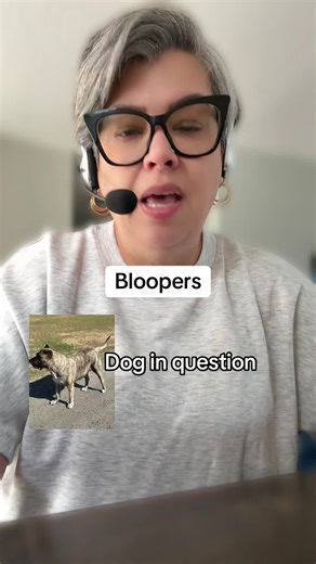 Funny Dog Bloopers: Hilarious Moments on Video