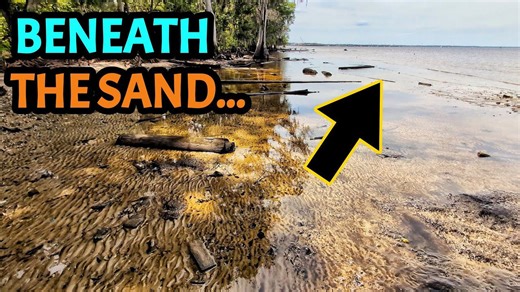 Hidden Goldmine Revealed by Massive Low Tide