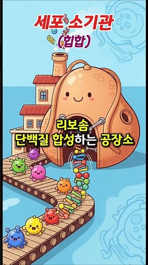 세포 소기관 암기송 | 힙합 버젼 | 생명과학 | #암기송 #세포소기관 #생명과학 #수능과탐 #암기송 #힙합 #수능송 #학습노 #교육콘텐츠