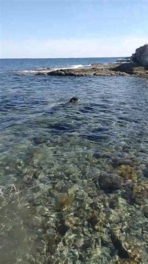 après le sport le réconfort on ce régale 👽🤙💪🤣